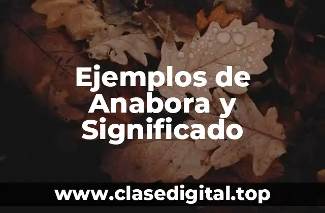 Ejemplos de Anabora y Significado