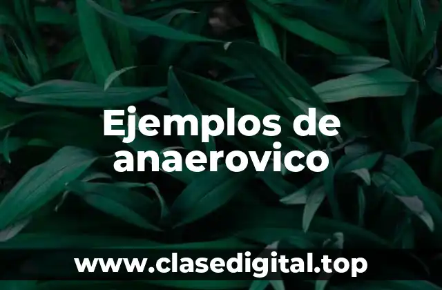 Ejemplos de anaerovico