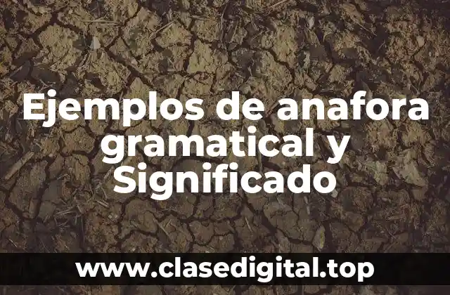 Ejemplos de anafora gramatical y Significado