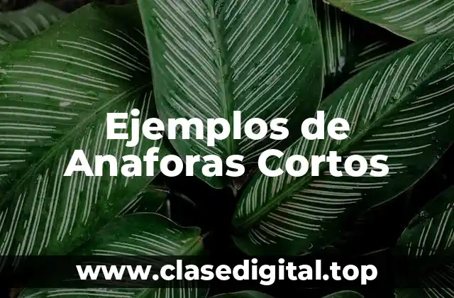 Ejemplos de Anaforas Cortos