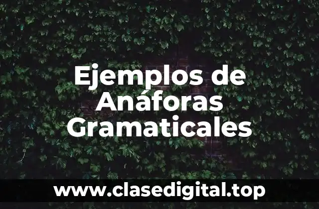 Ejemplos de Anáforas Gramaticales