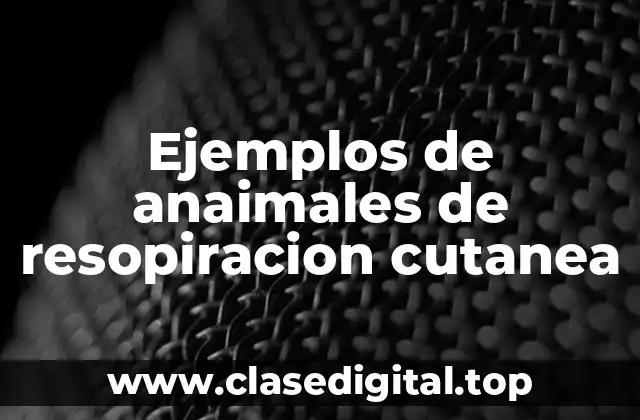 Ejemplos de anaimales de resopiración cutánea
