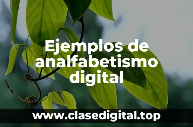 Ejemplos de analfabetismo digital