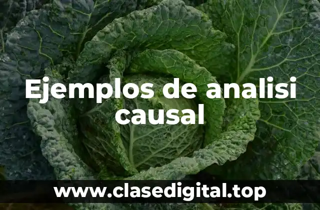Ejemplos de analisi causal