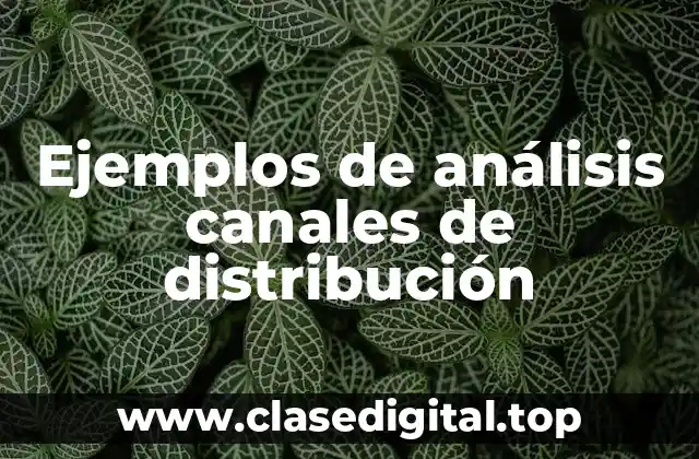 Ejemplos de análisis canales de distribución
