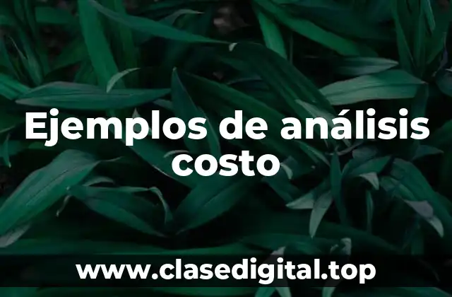 Ejemplos de análisis costo-efecto