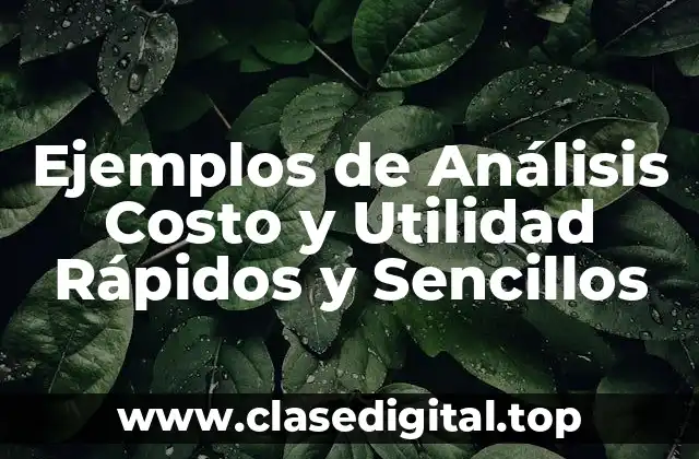 Ejemplos de Análisis Costo y Utilidad Rápidos y Sencillos