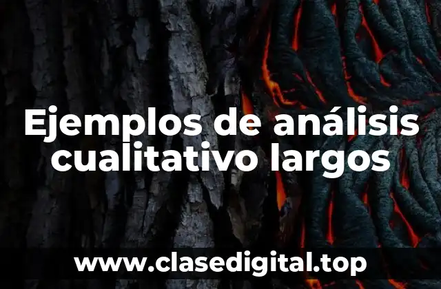 Ejemplos de análisis cualitativo largos
