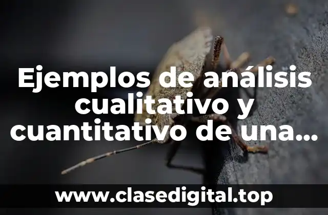 Ejemplos de análisis cualitativo y cuantitativo de una empresa
