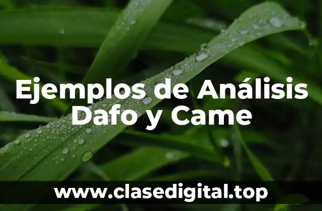 Ejemplos de Análisis Dafo y Came