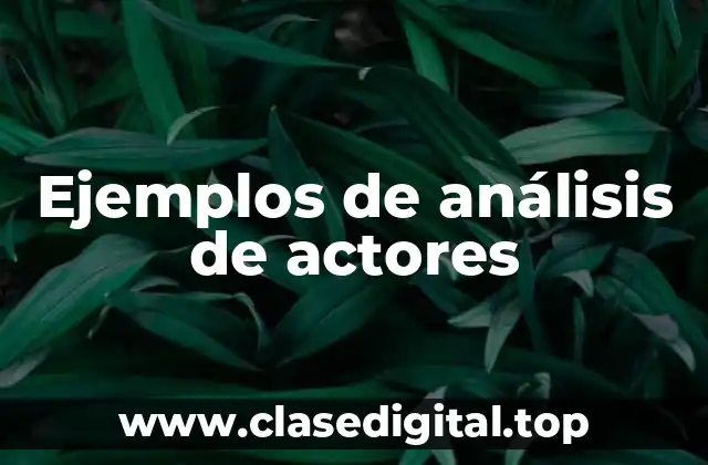 Ejemplos de análisis de actores