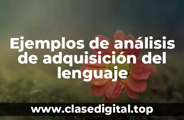 Ejemplos de análisis de adquisición del lenguaje