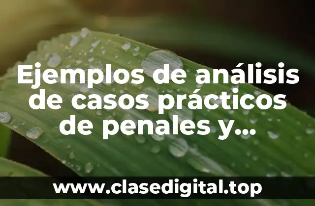 Ejemplos de análisis de casos prácticos de penales y Significado