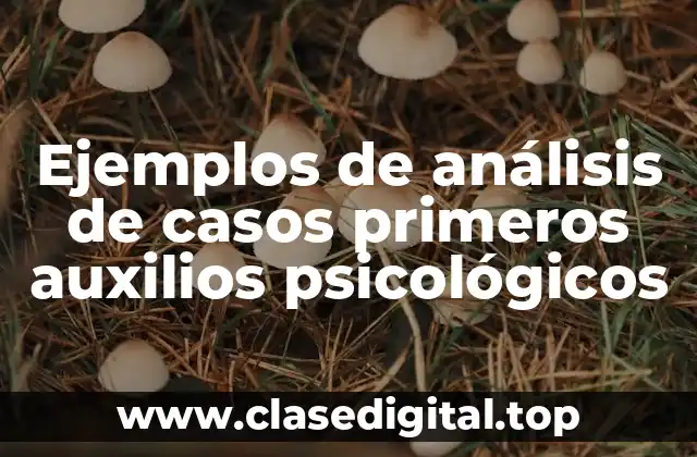 Ejemplos de análisis de casos primeros auxilios psicológicos
