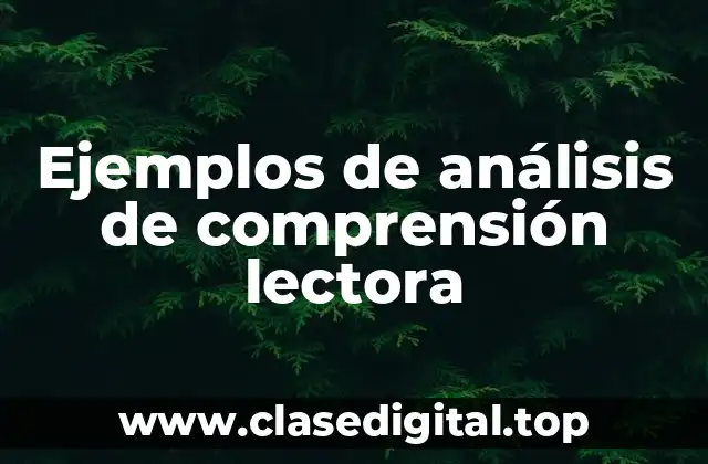 Ejemplos de análisis de comprensión lectora