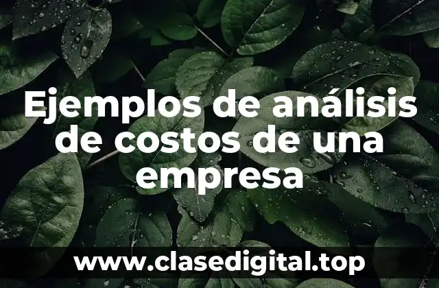 Ejemplos de análisis de costos de una empresa