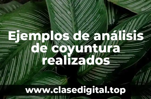 Ejemplos de análisis de coyuntura realizados