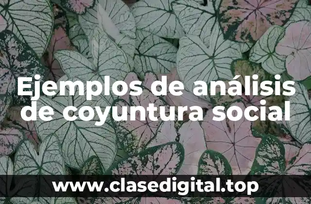 Ejemplos de análisis de coyuntura social