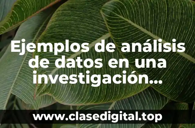Ejemplos de análisis de datos en una investigación cuantitativa