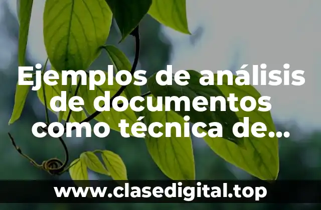 Ejemplos de análisis de documentos como técnica de investigación cualitativa y Significado