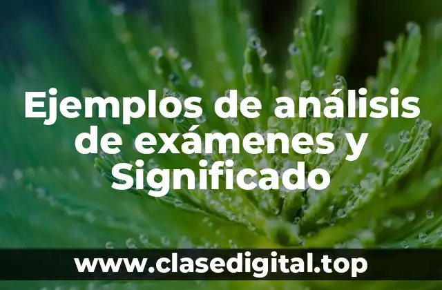 Ejemplos de análisis de exámenes y Significado