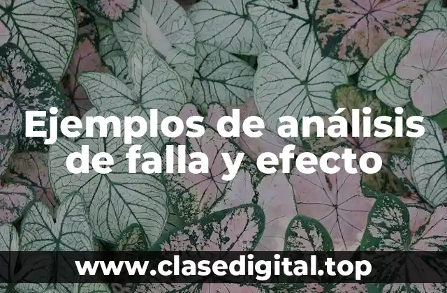 Ejemplos de análisis de falla y efecto