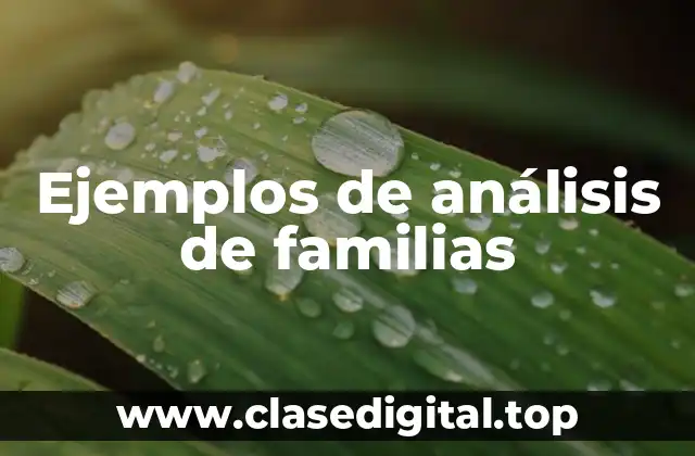 Ejemplos de análisis de familias