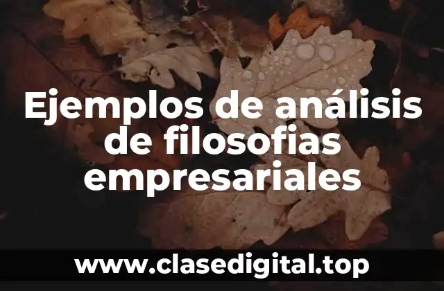 Ejemplos de análisis de filosofias empresariales
