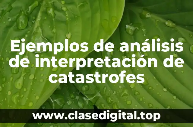 Ejemplos de análisis de interpretación de catastrofes