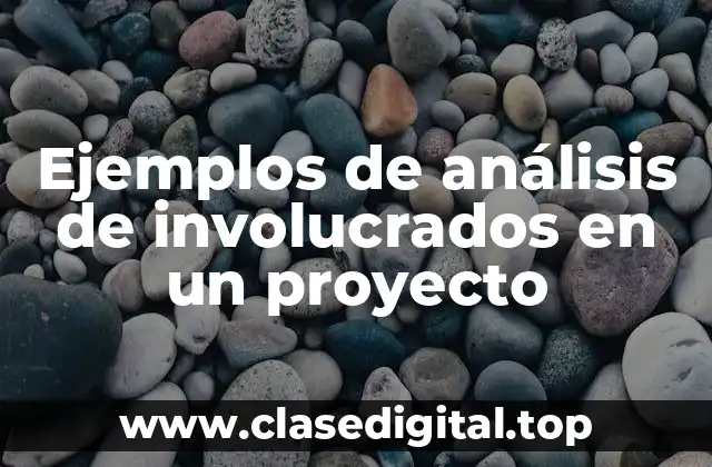 Ejemplos de análisis de involucrados en un proyecto