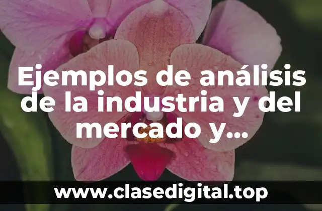 Ejemplos de análisis de la industria y del mercado y Significado