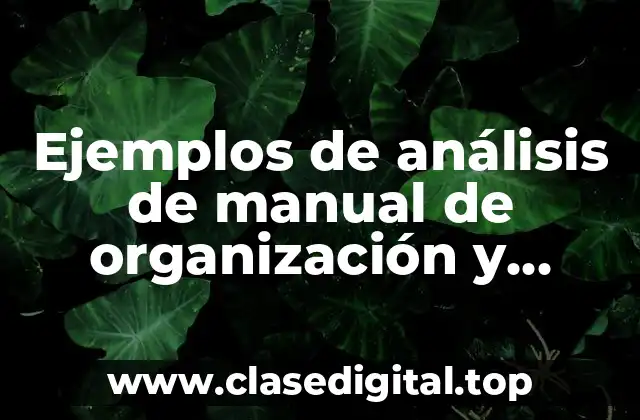 Ejemplos de análisis de manual de organización y Significado