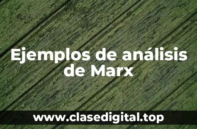 Ejemplos de análisis de Marx