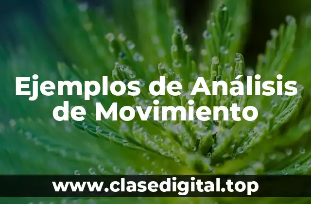 Ejemplos de Análisis de Movimiento