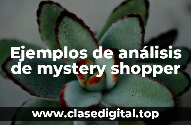Ejemplos de análisis de mystery shopper
