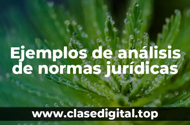 Ejemplos de análisis de normas jurídicas
