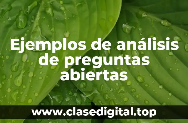 Ejemplos de análisis de preguntas abiertas