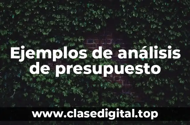 Ejemplos de análisis de presupuesto