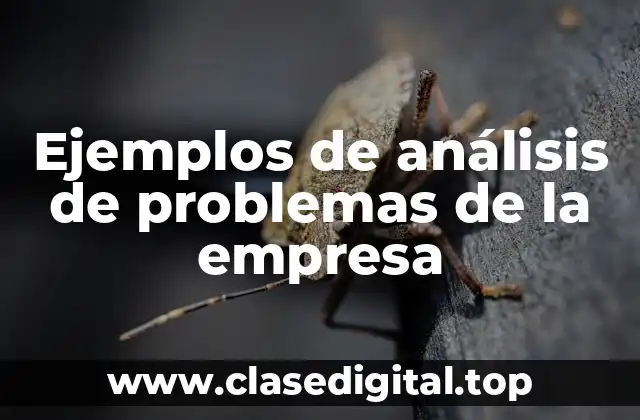 Ejemplos de análisis de problemas de la empresa