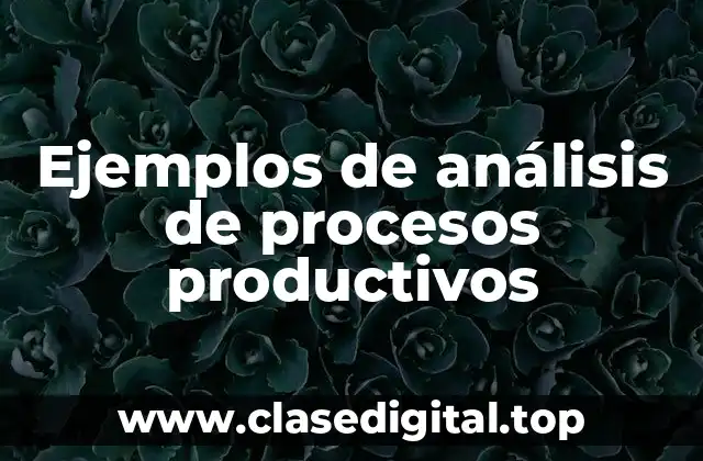 Ejemplos de análisis de procesos productivos