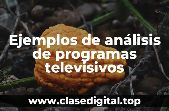 Ejemplos de análisis de programas televisivos