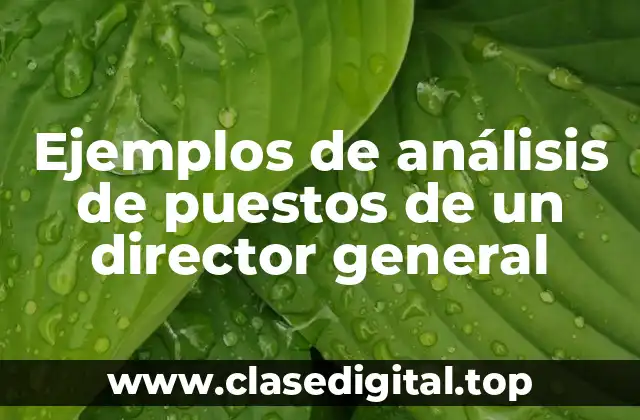 Ejemplos de análisis de puestos de un director general