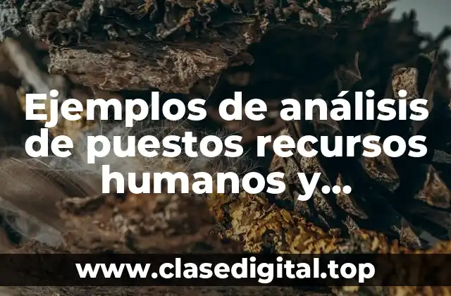 Ejemplos de análisis de puestos recursos humanos y Significado