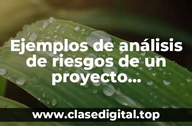 Ejemplos de análisis de riesgos de un proyecto administrativo