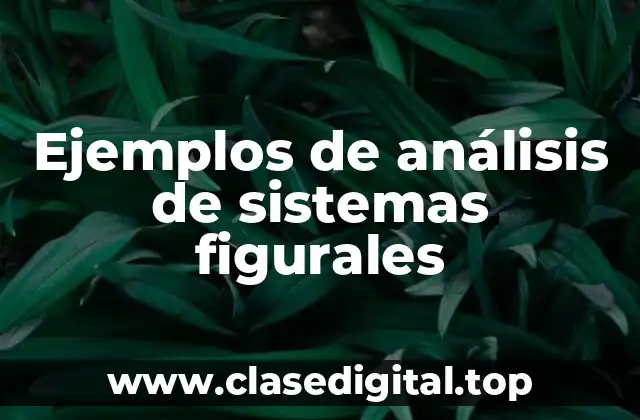 Ejemplos de análisis de sistemas figurales