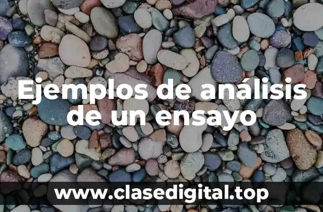 Ejemplos de análisis de un ensayo