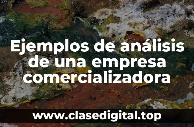 Ejemplos de análisis de una empresa comercializadora