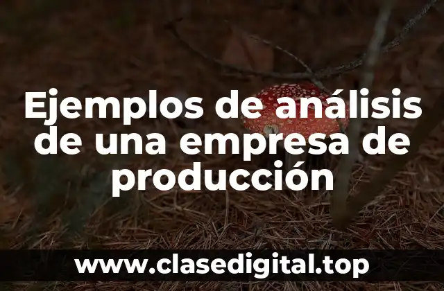 Ejemplos de análisis de una empresa de producción