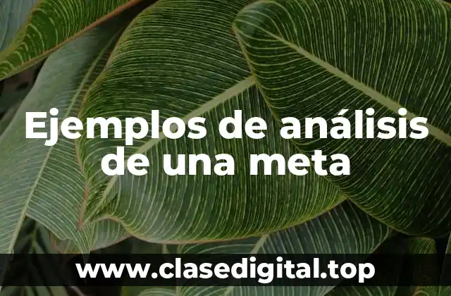 Ejemplos de análisis de una meta