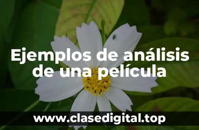 Ejemplos de análisis de una película